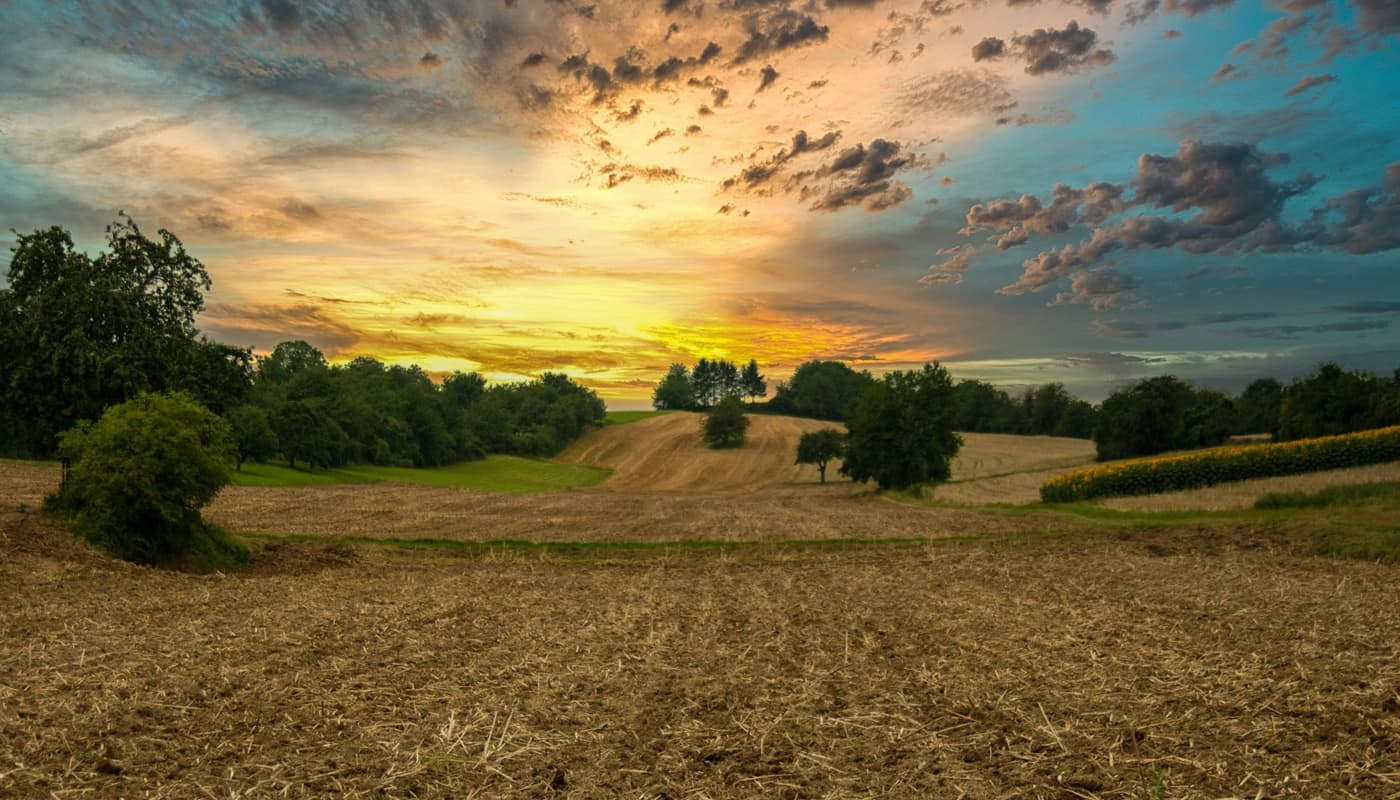Choosing the Perfect Location for Your Motocross Track