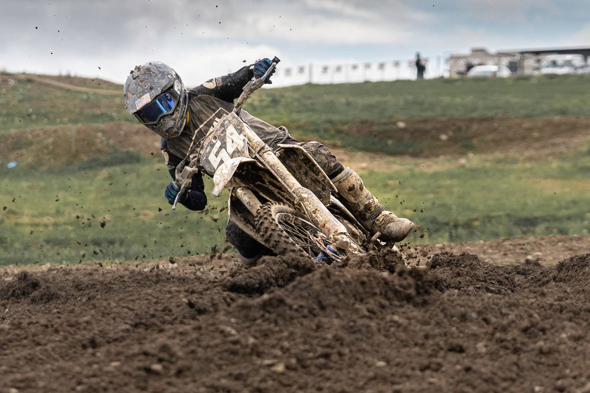 Mapleshade MX photo 4