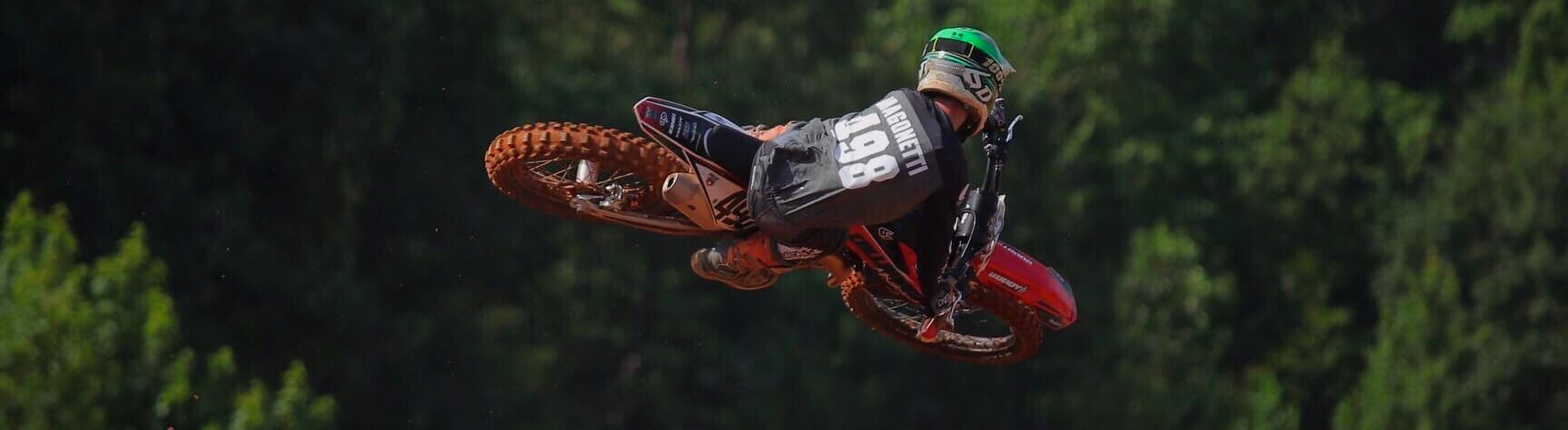 Paradise MX photo 1