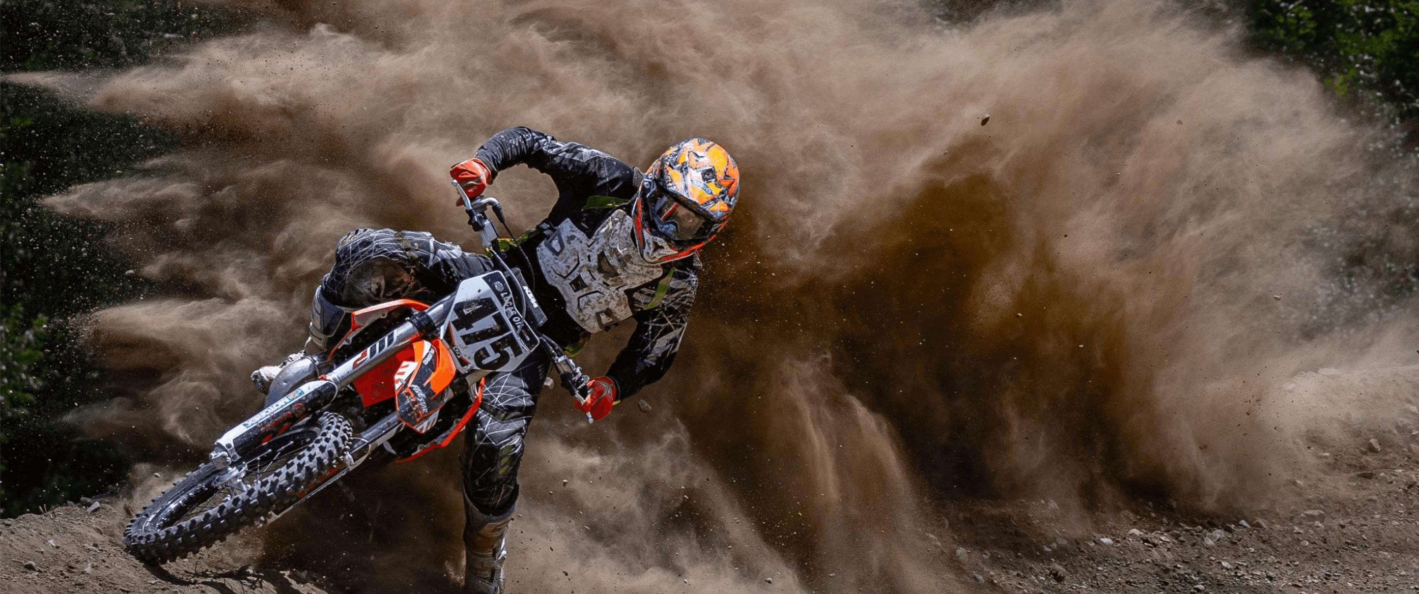 Mapleshade MX photo 8